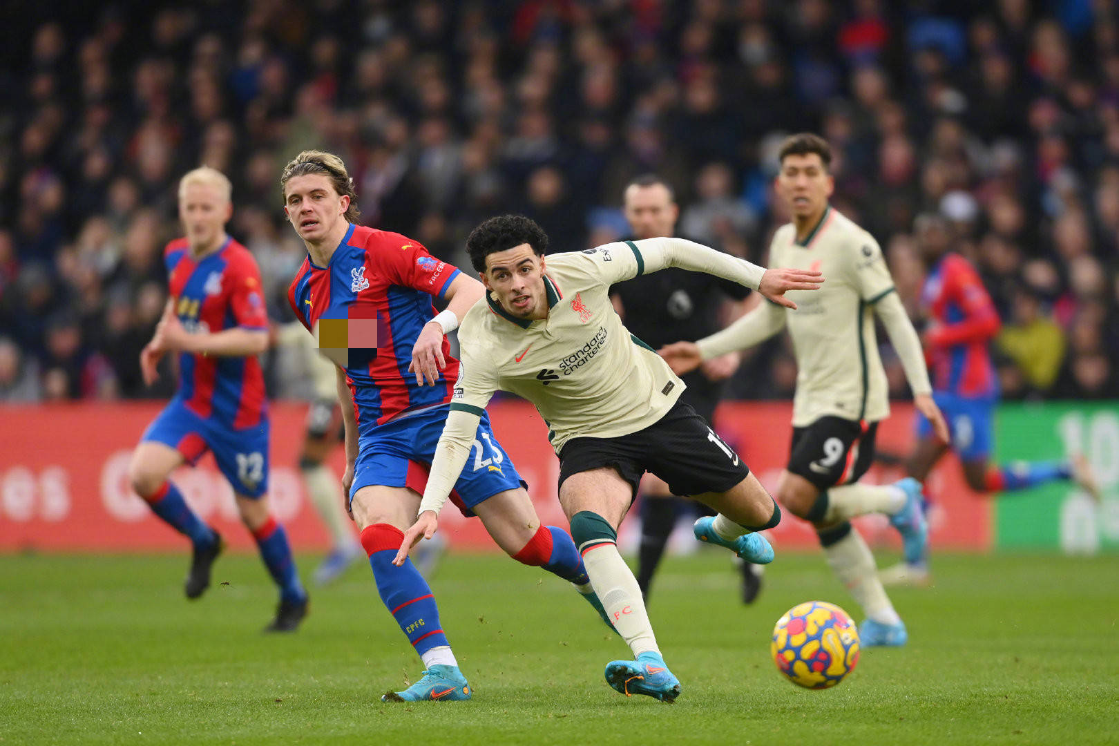 青训体系的 青训体系的